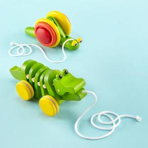 Baby Pull Toys